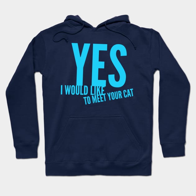 Yes, i would like to meet your cat Hoodie by DreamsofDubai